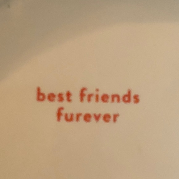 BFF Frenchie ceramic coaster - Picture 7 of 8